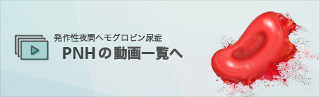 発作性夜間ヘモグロビン血尿症 PNH動画一覧へ